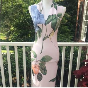 Ted Baker Bodycon Dress 🌺